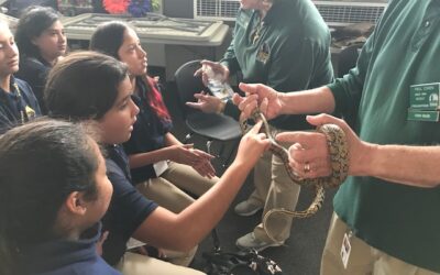 Enrichments That Promote Academic Success