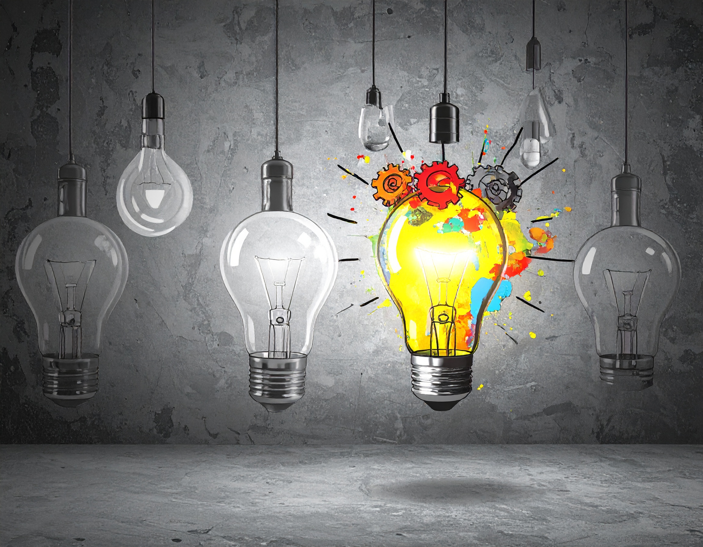 IMO Update from Executive Principal